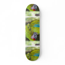 Green Cheek Conure Parrot Skateboard