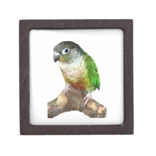Green Cheek Conure Premium Trinket Boxes