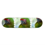Green Cheek Conure Skateboard