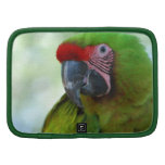Green Cheek Conure Wallet Folio Organizers