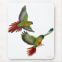 Green Cheek Conures Mousepad