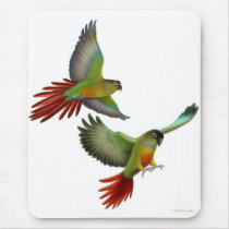 Green Cheek Conures Mousepad by twopurringcats Green Cheek Conures Mousepad