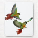 Green Cheek Conures Mousepad