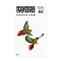 Green Cheeked Conure Parrots Postage postage by twopurringcats Green Cheeked Conure Parrots Postage postage