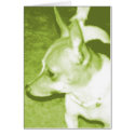 Green Chihuahua Pop Art Card