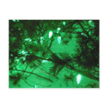 Green Christmas Lights Post Cards