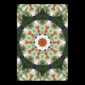 Green Circle Garden Posters