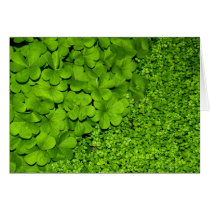 Green Clover cards by omanda Green Clover cards