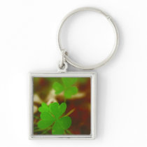 Green Clover Photograph Key Chain