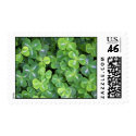 Green Clover Shamrock Postage postage