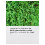 Green colorful evergreen shrub hedge art photo flyer design