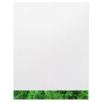 Green colorful evergreen shrub hedge art photo letterhead template