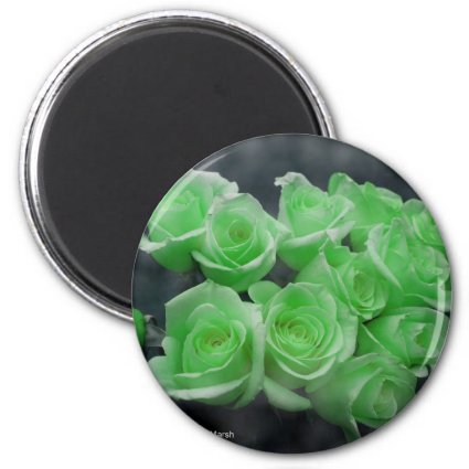 Green colorized bunch roses refrigerator magnet