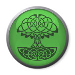 Green Council Magnet