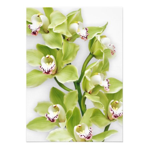 Green Cymbidium Orchid First Communion Invitation