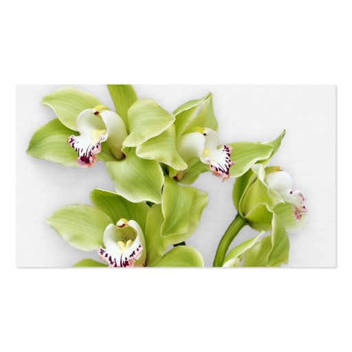 Green Cymbidium Orchid Floral Wedding Place Cards Business Card (back side)