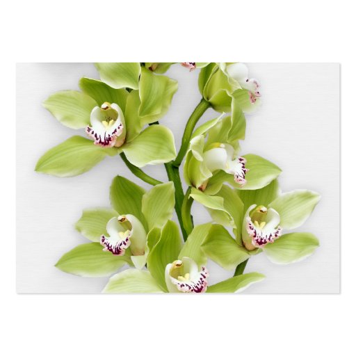 Green Cymbidium Orchid Wedding Reception Insert Business Card Templates (back side)