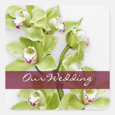 Green Cymbidium Orchid Wedding Square Stickers