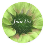 Green Daisy Flower "Join Us" Invitation Stickers