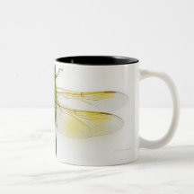 Green darner (Anax junius) on white background, Coffee Mugs