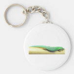 Green Day Gecko Key Chains