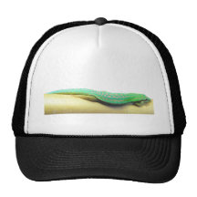 Green Day Gecko Trucker Hat