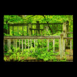Green Deck posters
