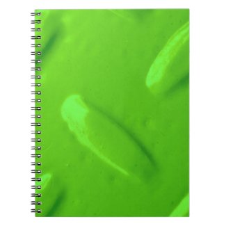 Green Diamondplate Notebook notebook