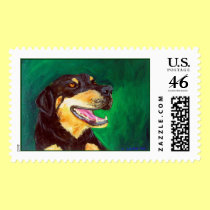Green Dog Stamp stamps
