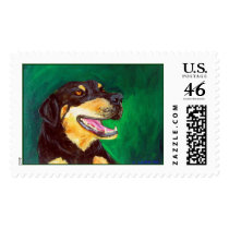 Green Dog Stamp