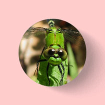 "Green Dragon" Eco Pin buttons