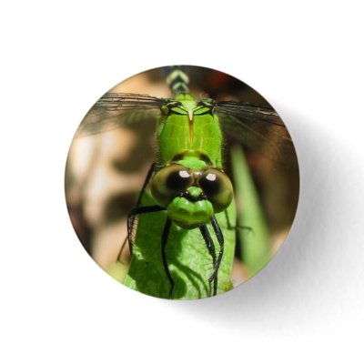 "Green Dragon" Eco Pin by ChelseaKerwath