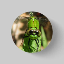 "Green Dragon" Eco Pin buttons