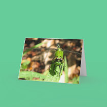 "Green Dragon" Greeting Card cards