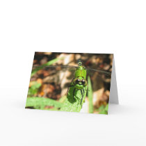 "Green Dragon" Greeting Card