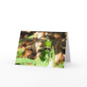"Green Dragon" Greeting Card by ChelseaKerwath "Green Dragon" Greeting Card