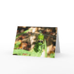 "Green Dragon" Greeting Card