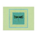 Green Dragonfly postcards