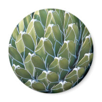 Green Dreams Magnets