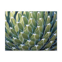 Green Dreams postcards