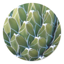 Green Dreams stickers