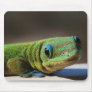 Green Dude Mouse Pads