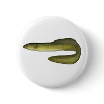 Green Eel buttons