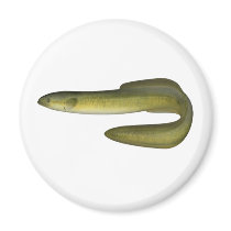 Green Eel magnets by OutDoorWorld Green Eel magnets
