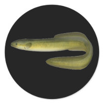 Green Eel stickers