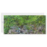 Green Embrace Personalized Rack Card