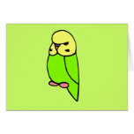 Green English Budgie cards