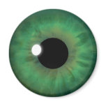Green Eye Iris Eyeball Cool Custom Round Magnets