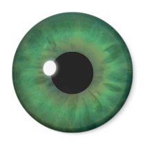 Green Eye Iris Eyeball Cool Custom Round Magnets