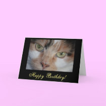 Green eyed Cat Birthday Card by Beliria Green eyed Cat Birthday Card